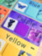 Thumbnail: Color Sorting Game - eco friendly, toddler game, real images, Montessori inspire