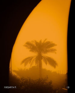 Screenshot_20240807_140501_Instagram