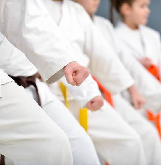 Karate Classes2.jpg