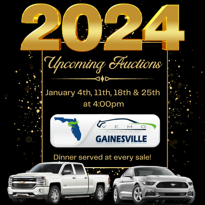 VEMO Auto Auctions Gainesville, FL