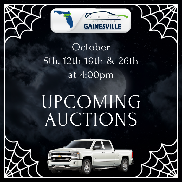 VEMO Auto Auctions Gainesville, FL