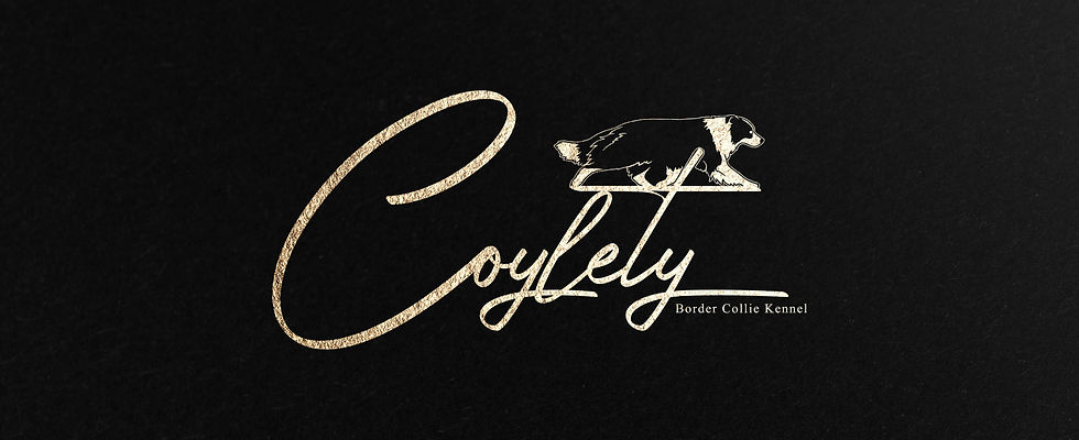 Logotype.jpg