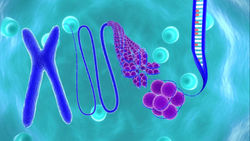 Epigenetique