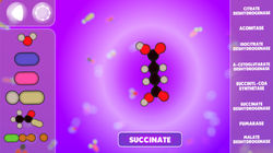 splashcreen4