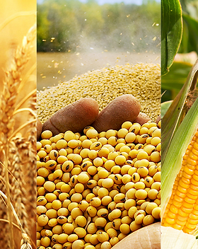 Agro-commodities.png
