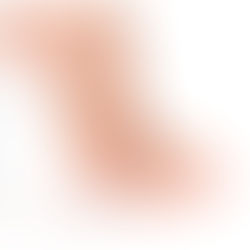 Morton's toe found to be cause of global supply chain disruptions