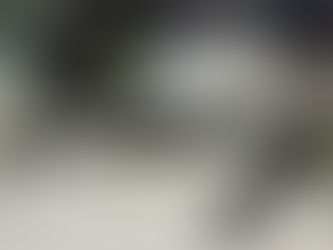 The great firearms repossession comedy show