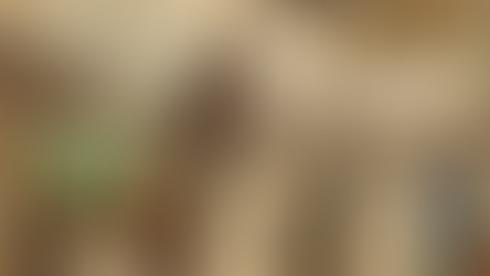 Never have sex with a Chinese horse