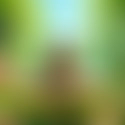 Toad-ally not what we needed