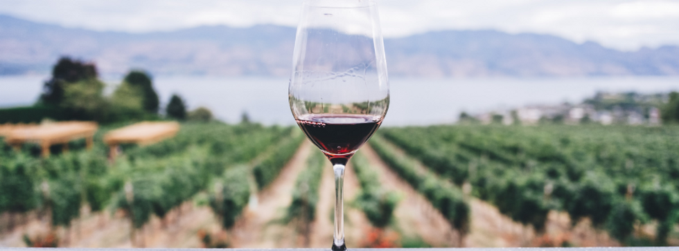 Ones+ Non Alcoholic Wine