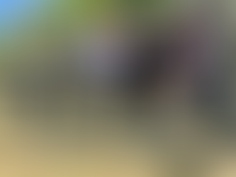 Ground Breaking Ceremony Success