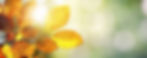 Cowichan Hospice