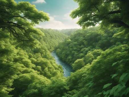 Expert Environmental Engineers: Sustainable Solutions for a Greener Future