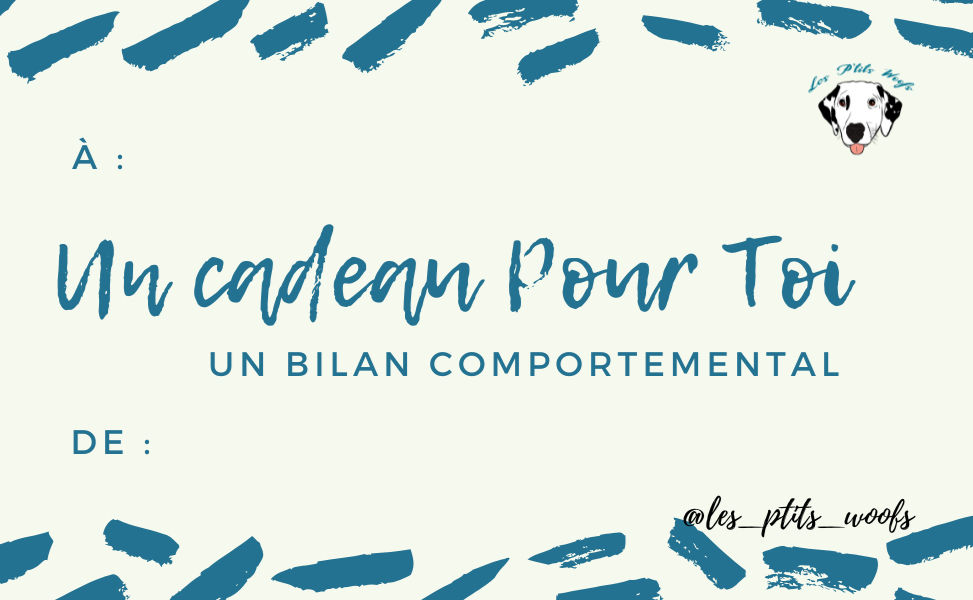 Carte cadeau ~ Bilan comportemental