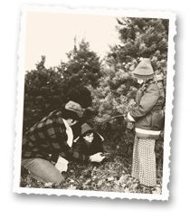 timbuk christmas trees since 1952