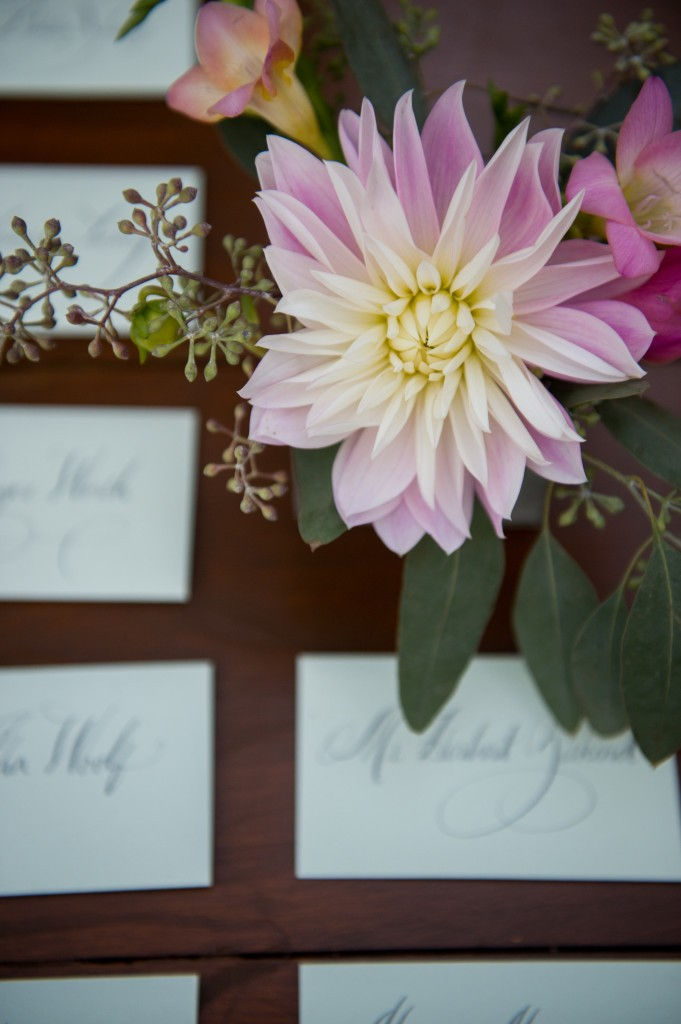 BARNARD_WEDDING_-1859