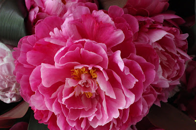 So long Peonies...