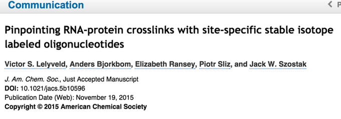 Pinpointing RNA-protein crosslinks with site-specific stable isotope labeled oligonucleotides