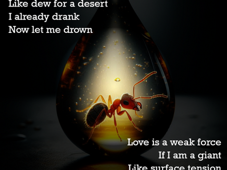 Surface Tension and Coitus - Essay