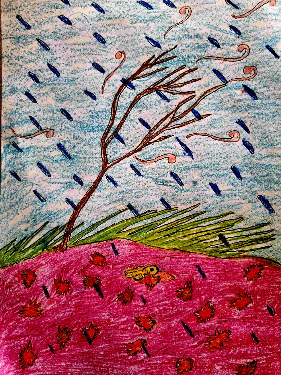A rainy day