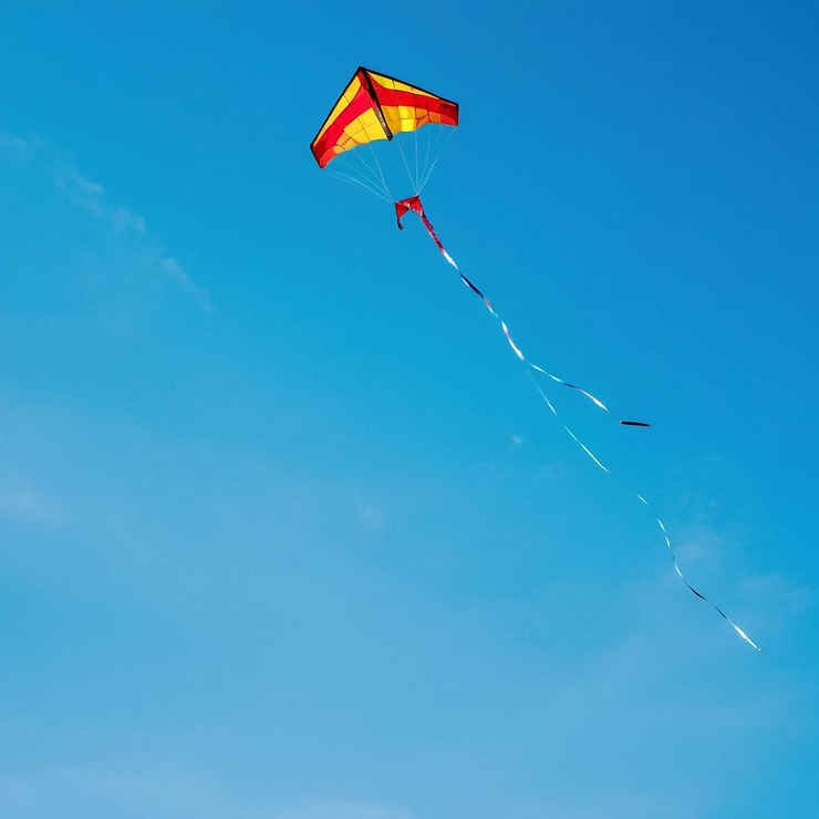 A kite in the blue sky