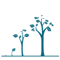 4_edited_edited.png