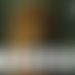 Informativo - 04/2026