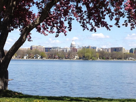 madison skyline 1.jpg