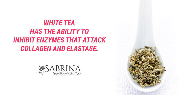 NaturesSecret-WhiteTea
