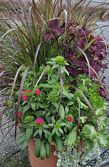 Planter 14a.jpg