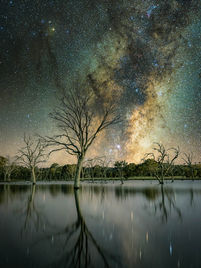 Dead tree and Milky Way