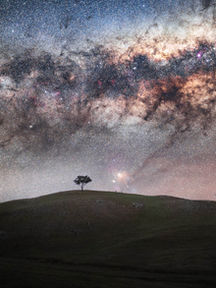 Lone tree over the hill with the Milky Way above
