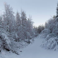 Solnedgang på Hemberget
