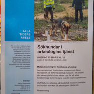 Hvad laver de deroppe?