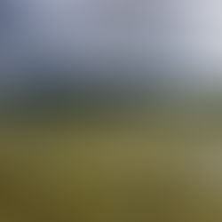 Cykeltur til Risjön