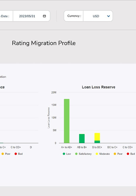 Rating Migration Profile - changes in credit ratings over time, with arrows indicating transitions between rating categories.