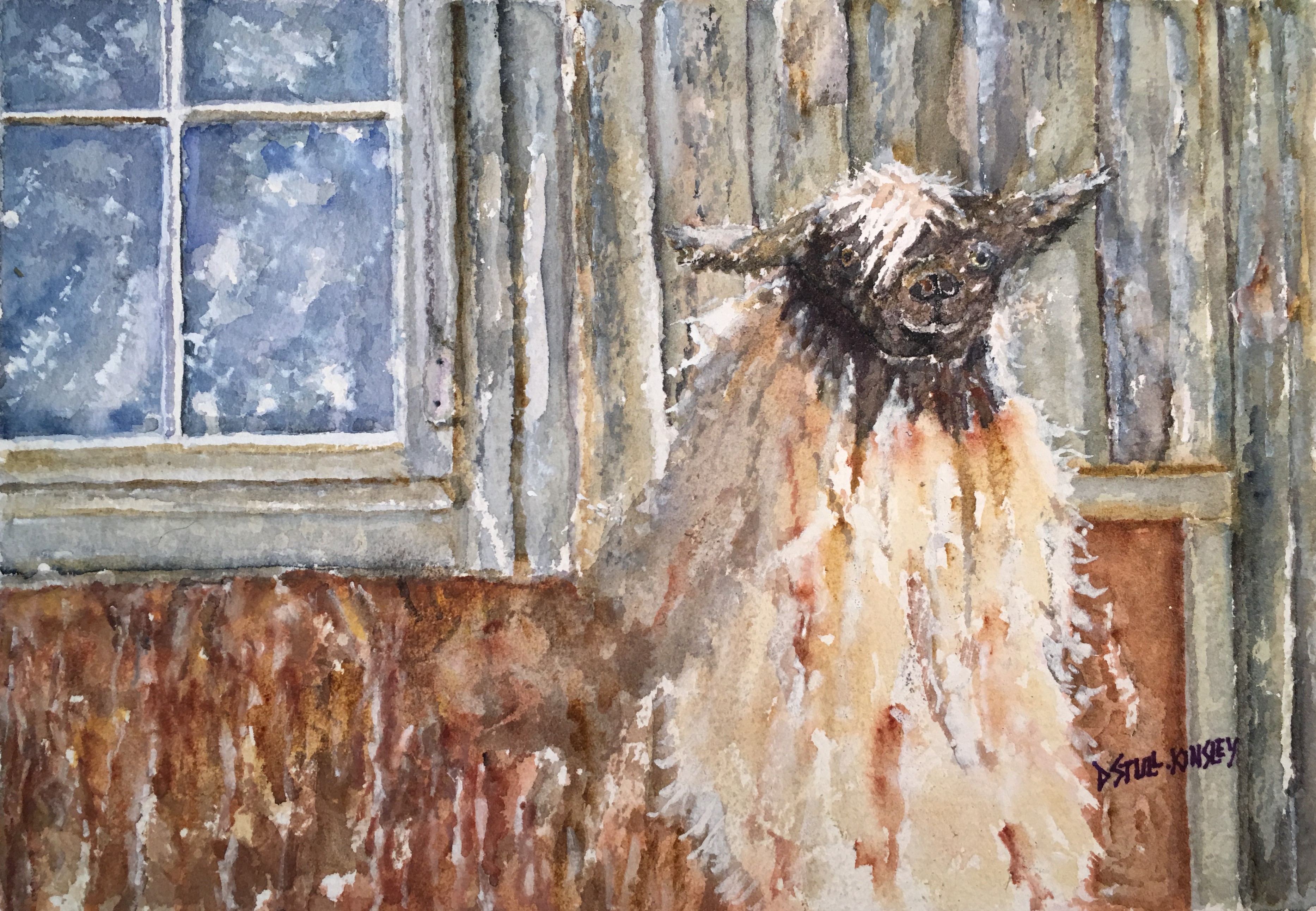 Hello Llama!