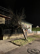 Sturmschaden 1401