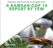 Fantastic COPs and how to navigate them COP14 report .jpg