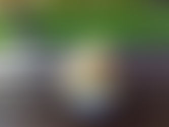 Alla Scoperta dei Segreti degli Ingredienti del Gelato Artigianale