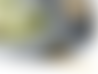 Ricetta Gelato al Pistacchio Artigianale