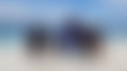 Universiti Malaya and RHB Islamic Bank Launch Iconic Partnership 