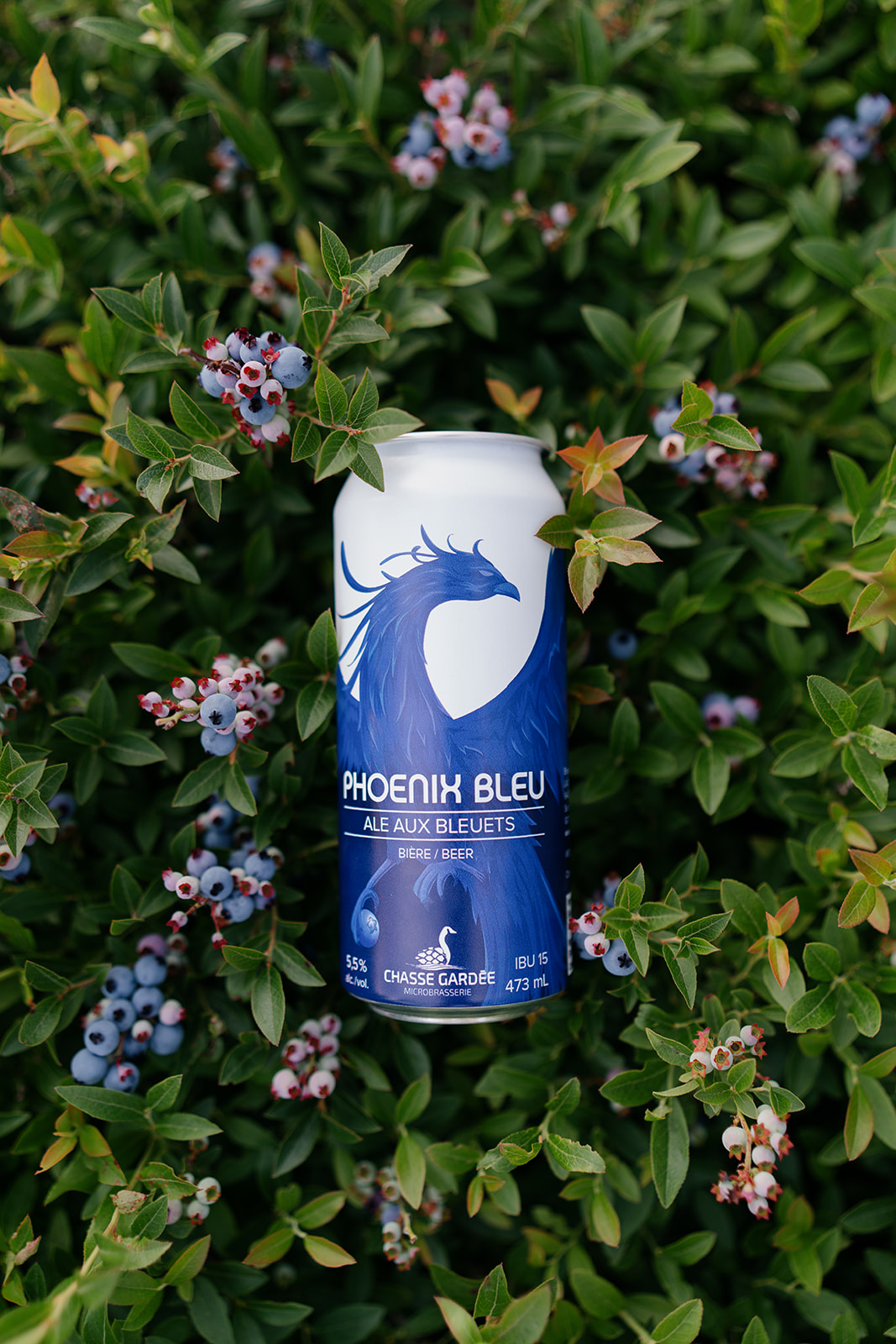Phoenix bleu - Ale