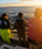 Les studios de la mer - Destination haute mer