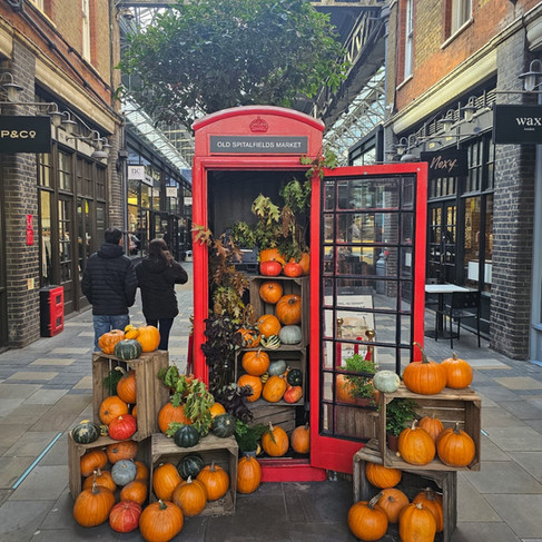 תא טלפון אדום לונדון עם דלעת