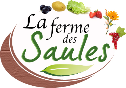 Camping de la Ferme des Saules — photo 8
