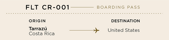 ticket en producto.png