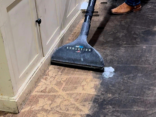 Carpet Cleaning.jpg