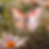 20250525_101319_0000.png