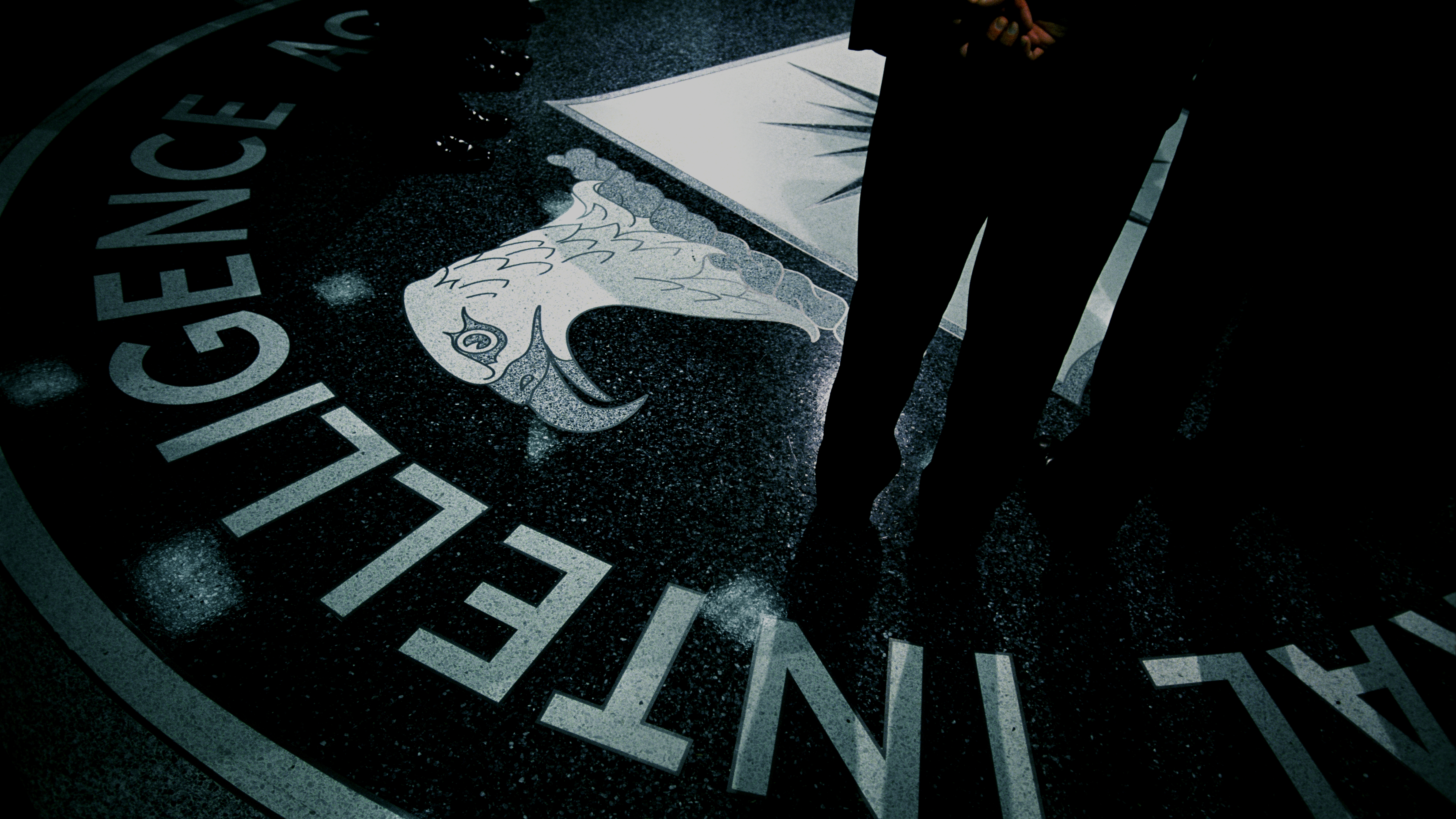 Central Intelligence Agency